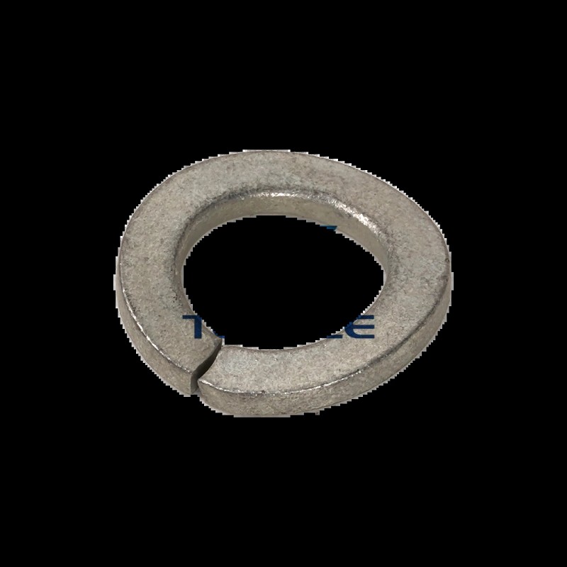 Shop TAKEUCHI WASHER SPRING (12MM) 1140020012 | Tonkee®